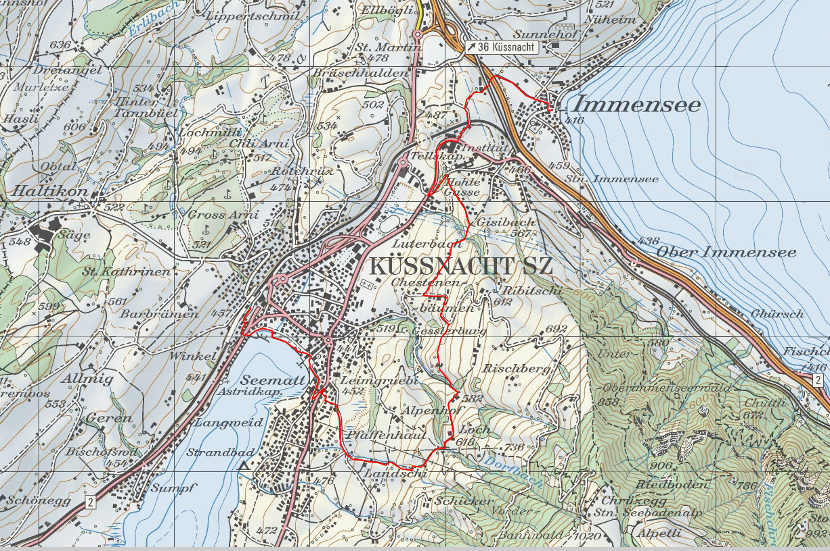 Landkarte Küssnacht Immensee
